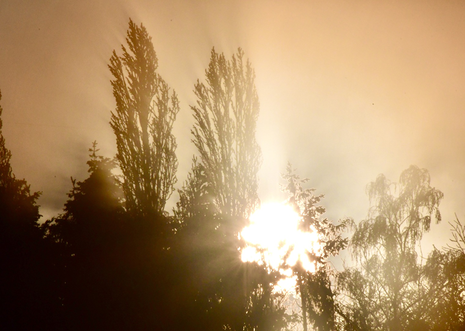 Sonnenaufgang 2
