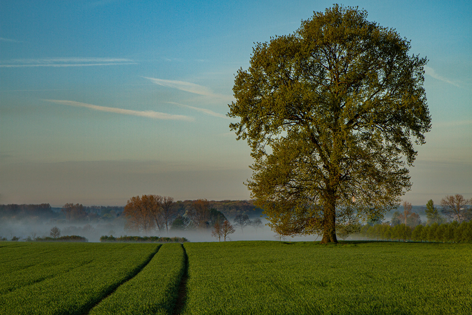 Der Tag beginnt ......