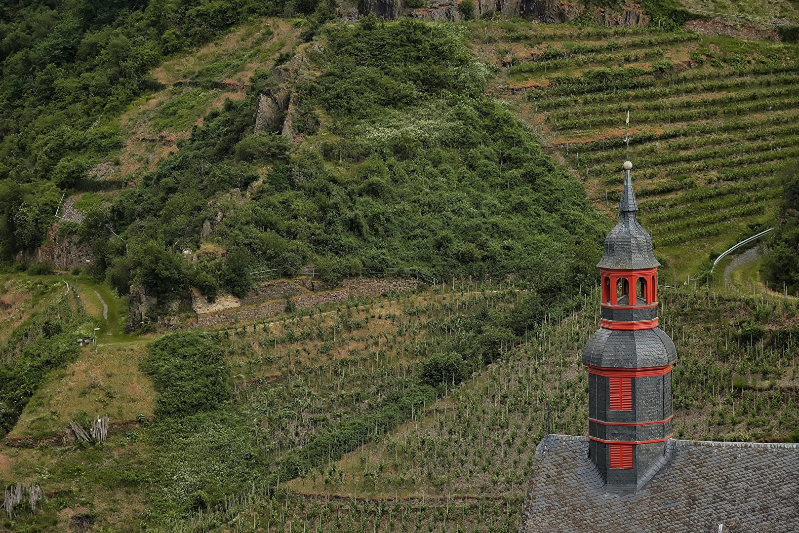 Moselwein_Hanglage