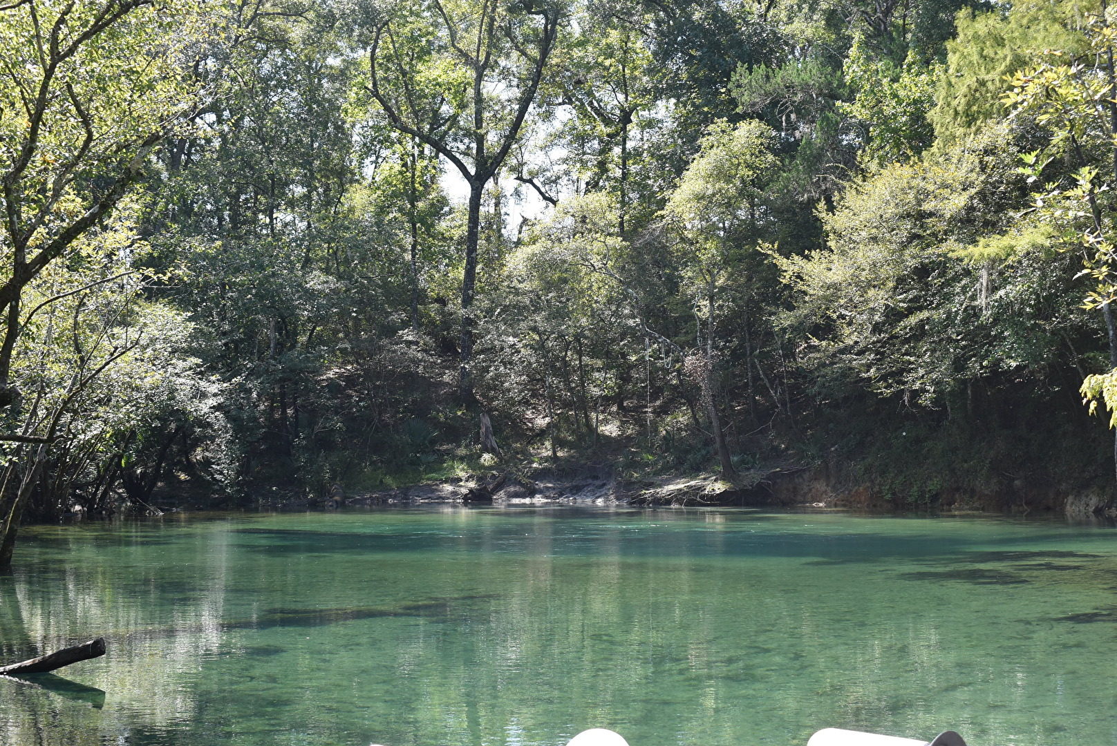 Springs in Ponce de Leon