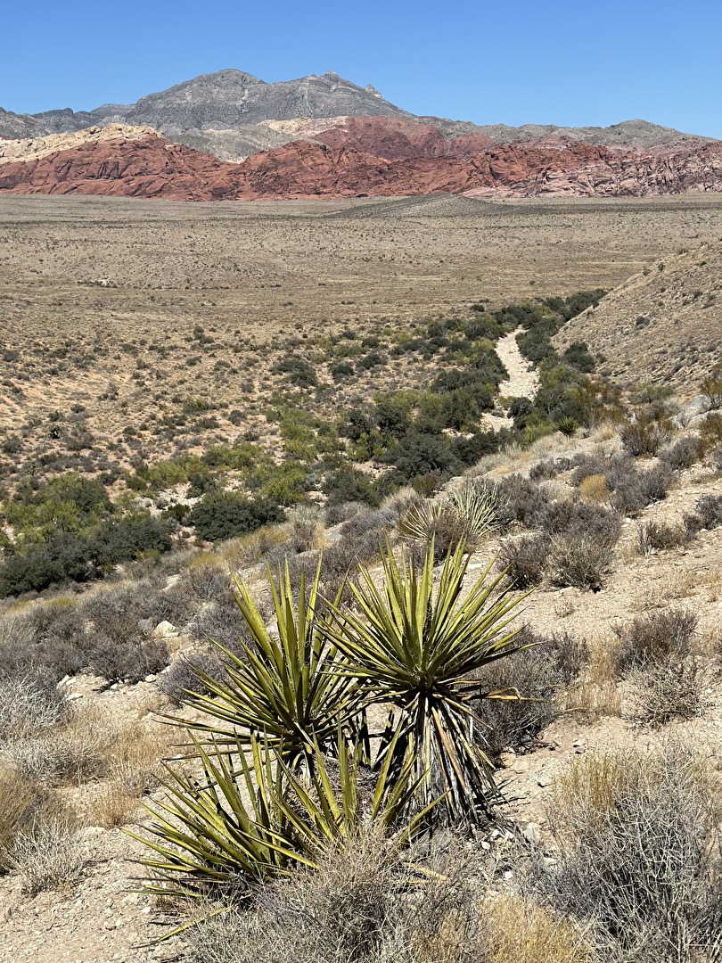 Red Rock Nevada USA