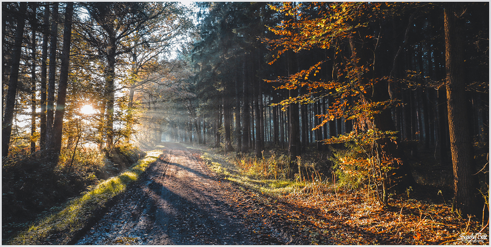 Ins Licht