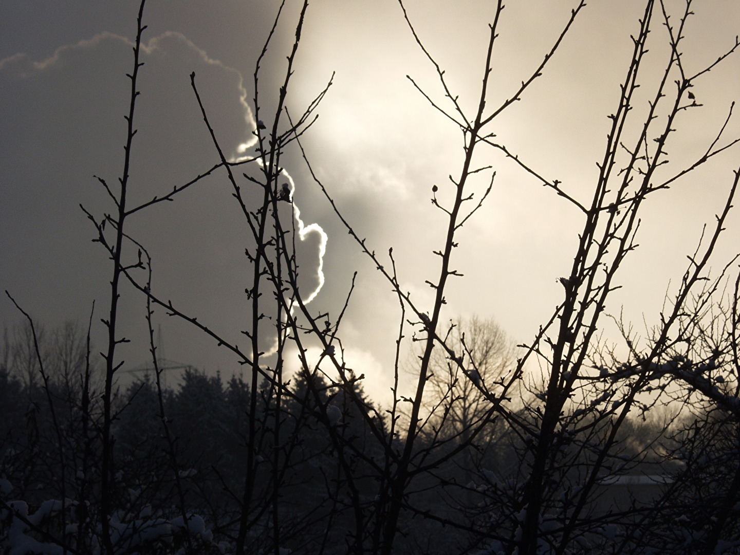 Götterdämmerung (2)