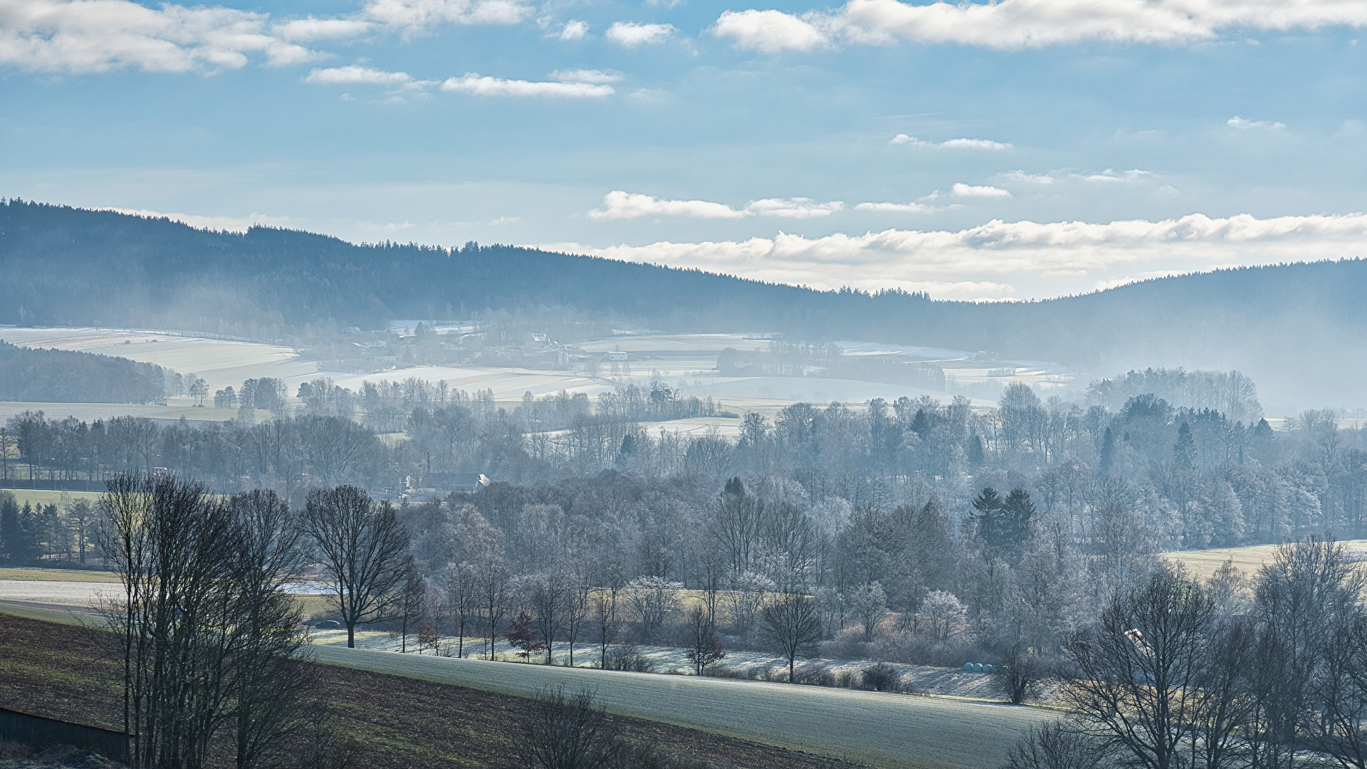 Morgenstimmung in der Oberpfalz