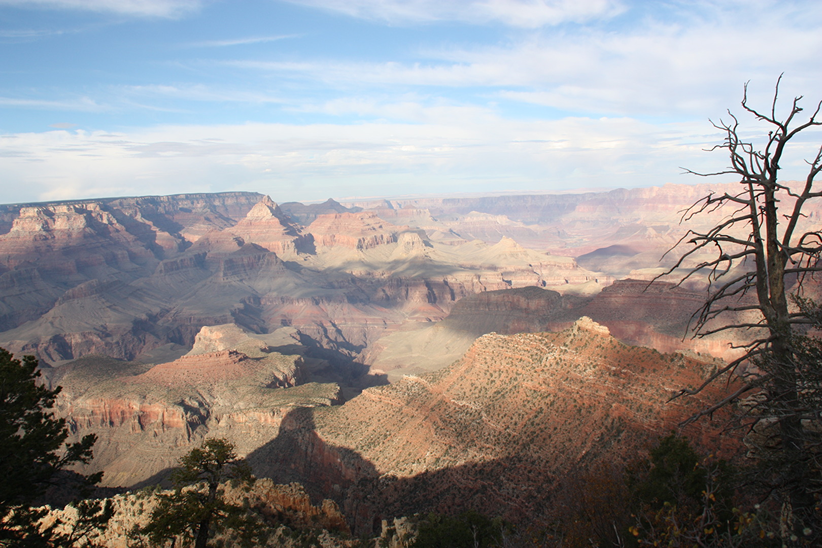 WildWest