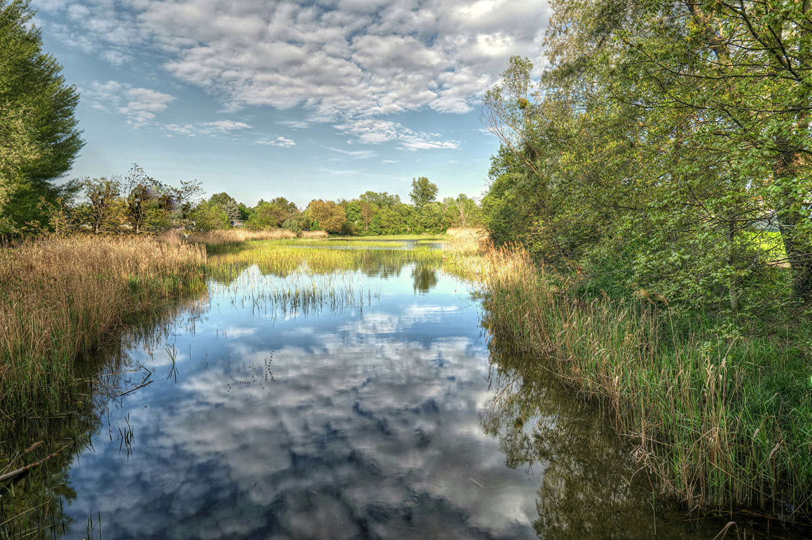 Lobau  Nationalpark Donauauen