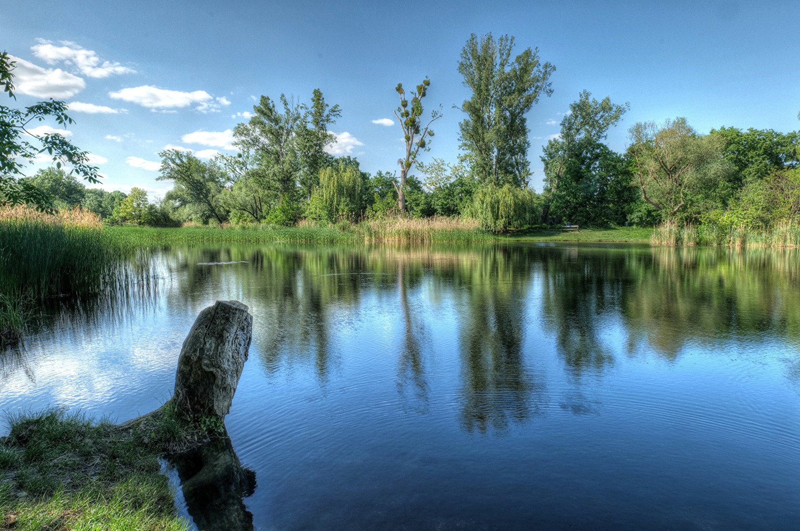 Mühlwasser / Wien