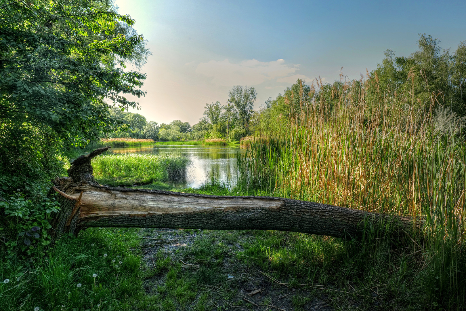 Nationalpark Donauauen