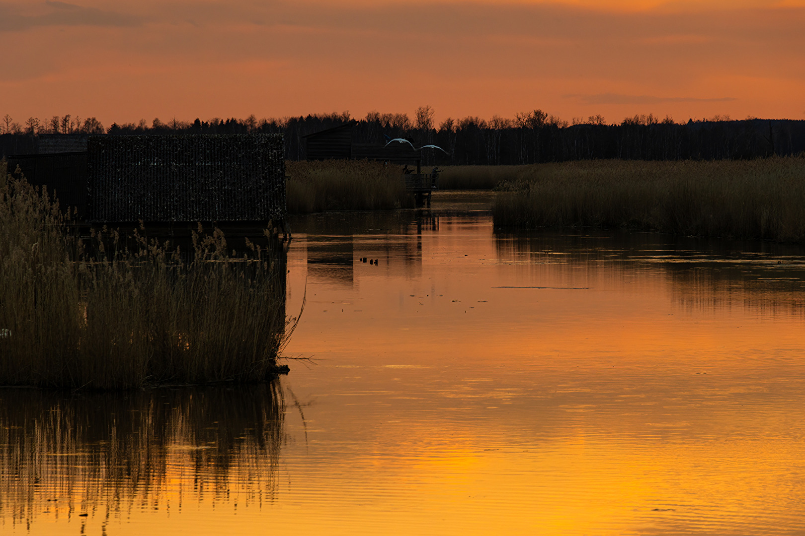 Sonnenuntergang am Federsee in Bad Buchau in Schwaben.