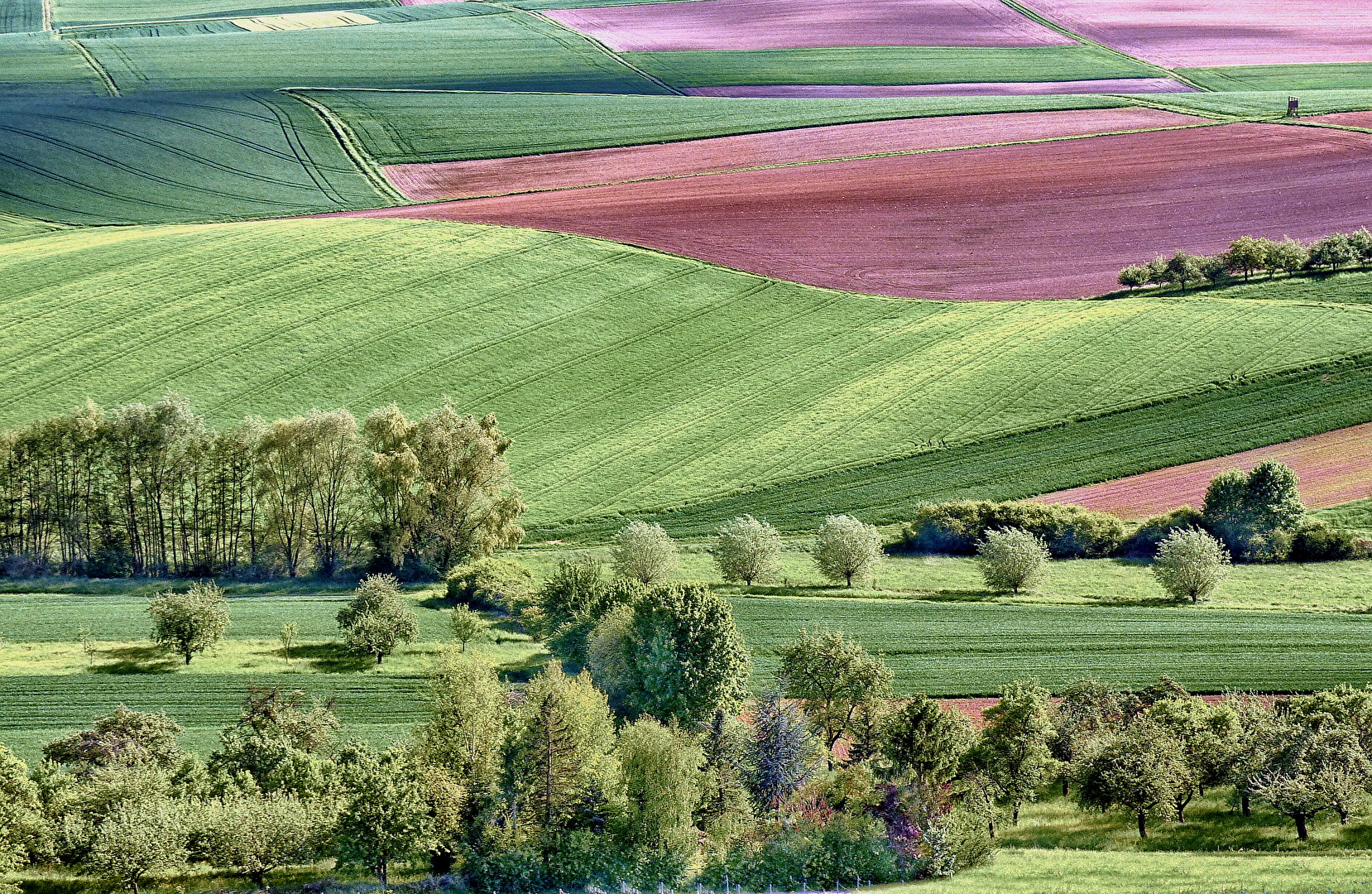Bauernland