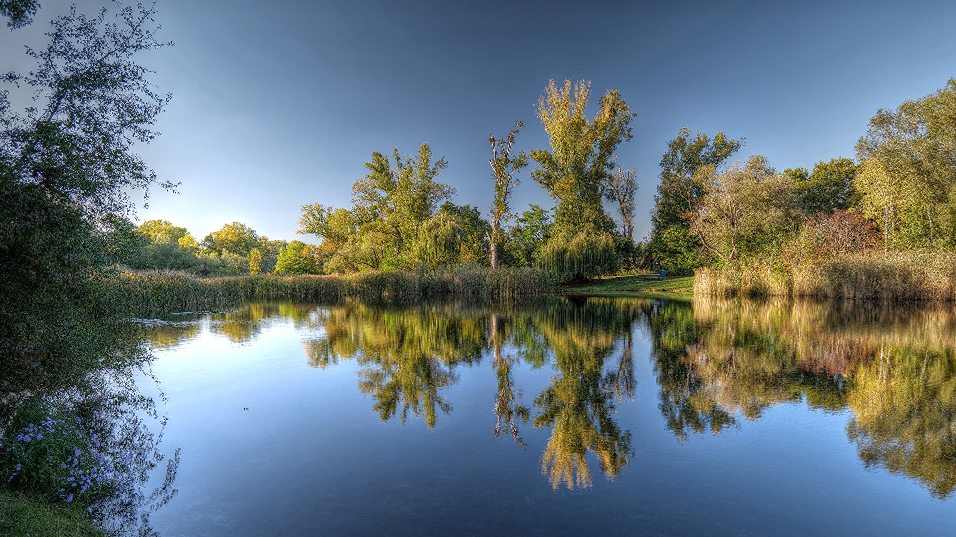 Nationalpark Donauauen / Wien