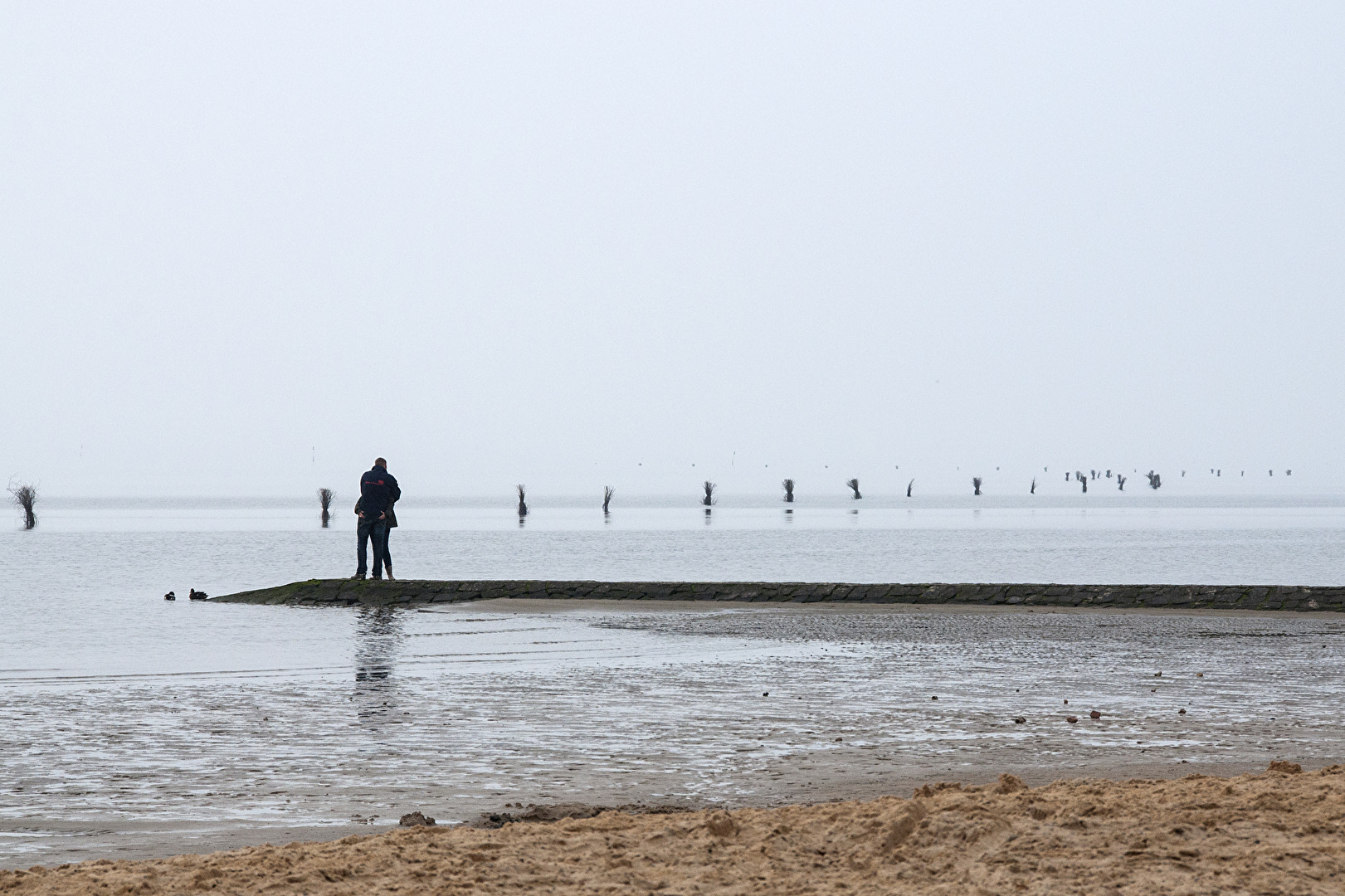 #Perspektive #Cuxhaven #Pricken