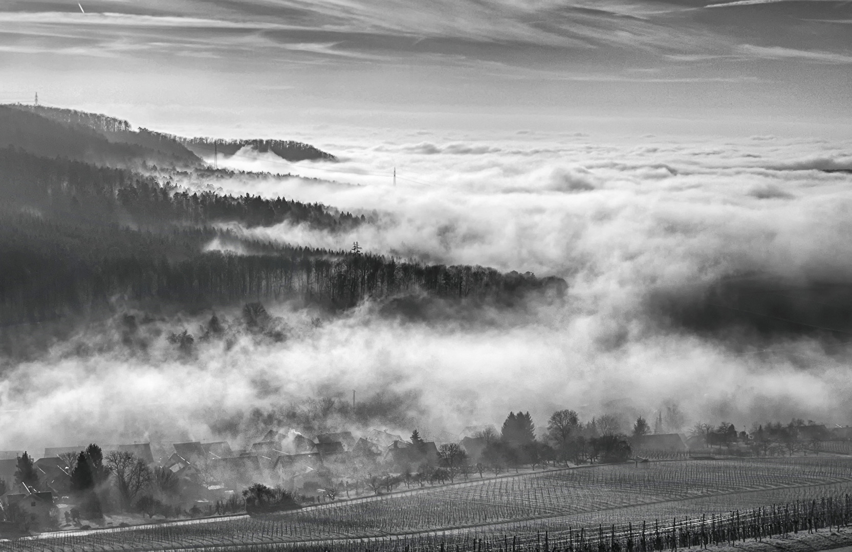 Herbstnebel