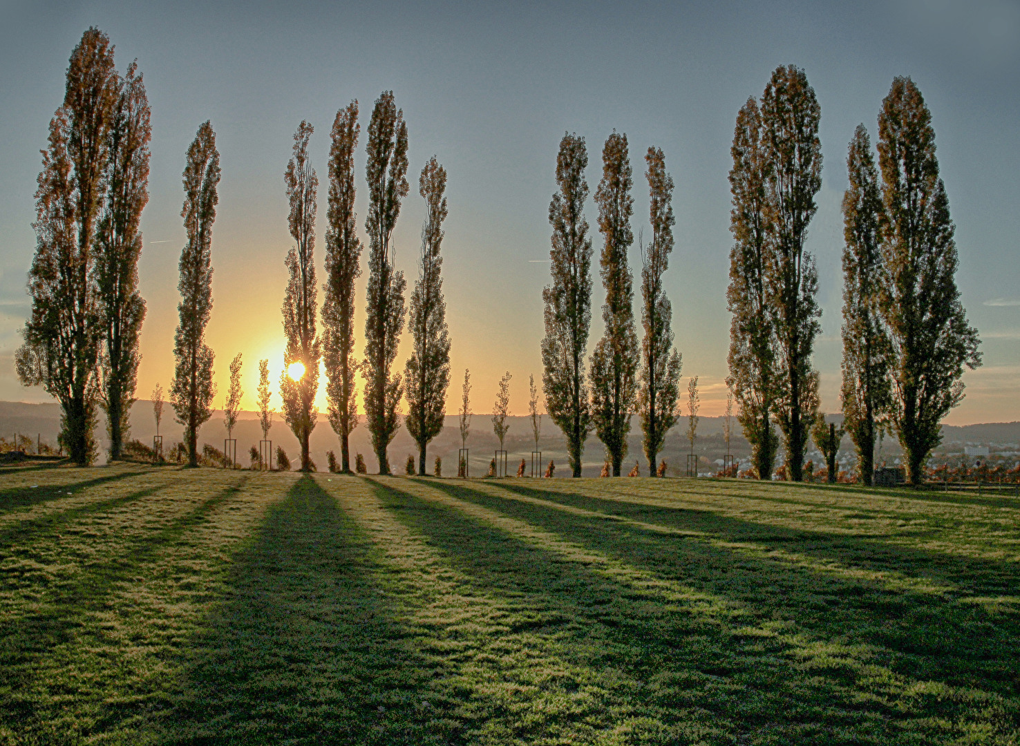 Wenn die Pappeln schlafen gehen
