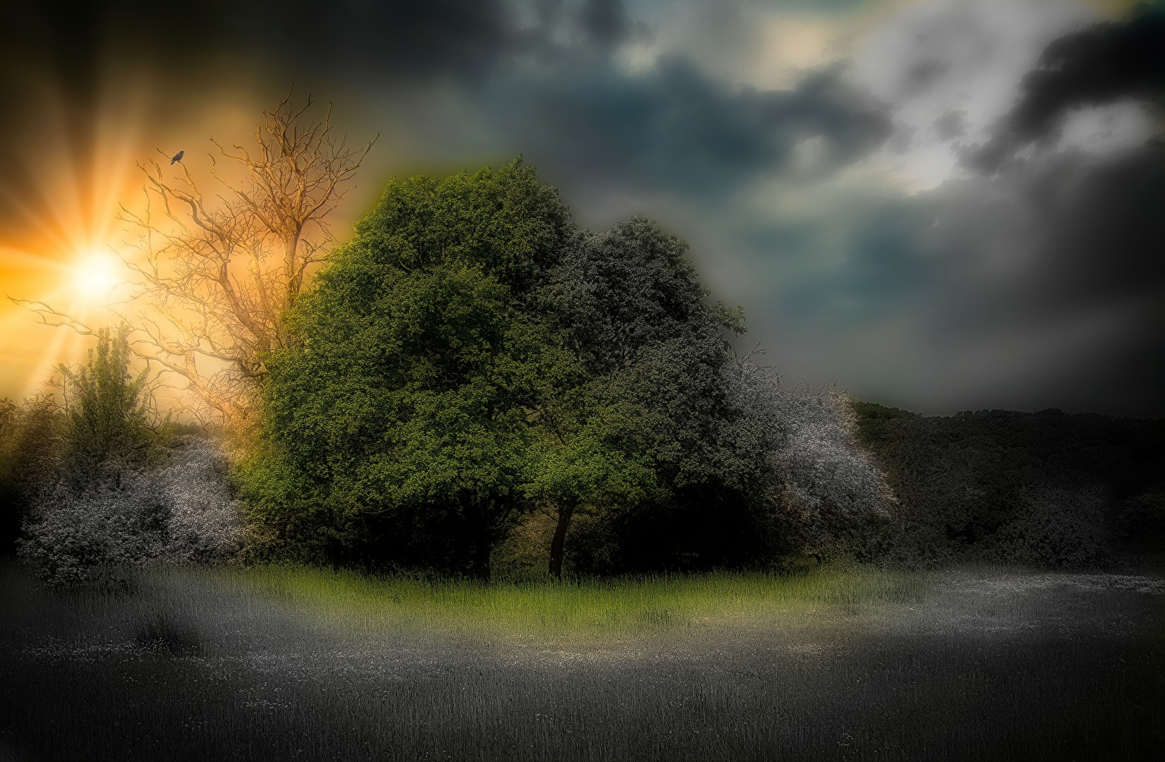 Gewitter in der Elbniederung im Anzug