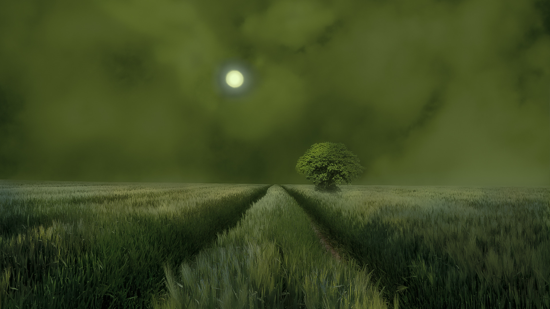 Grüne Stille