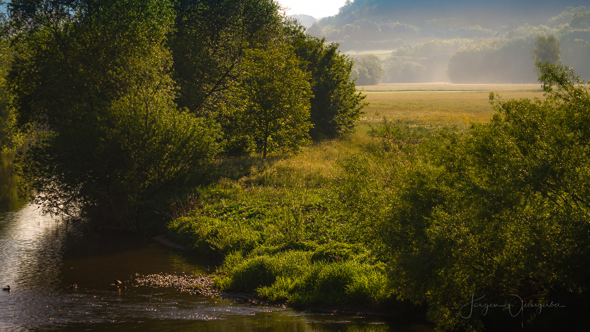 Morgenlicht am Ufer