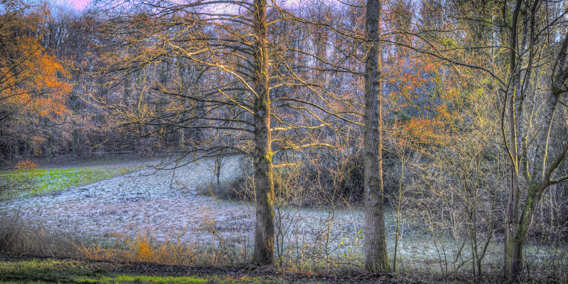 Frostmorgen