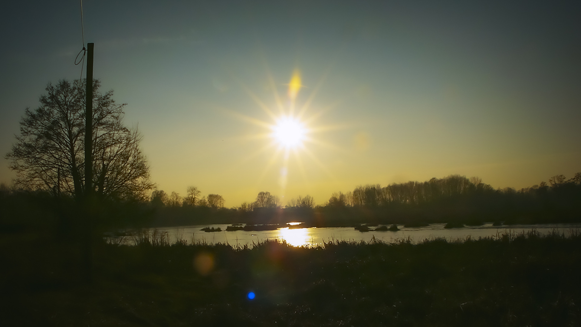Gegenlicht 2003