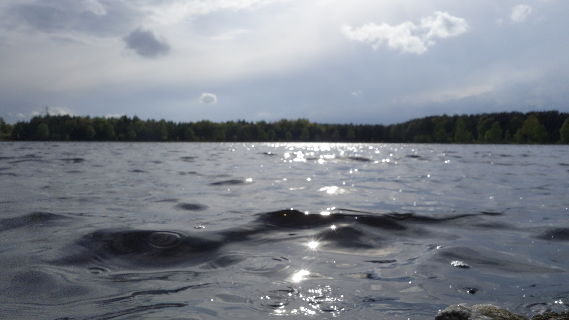 Auf Höhe des Wasserspiegels