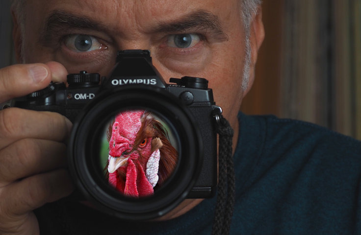 Profilbilder