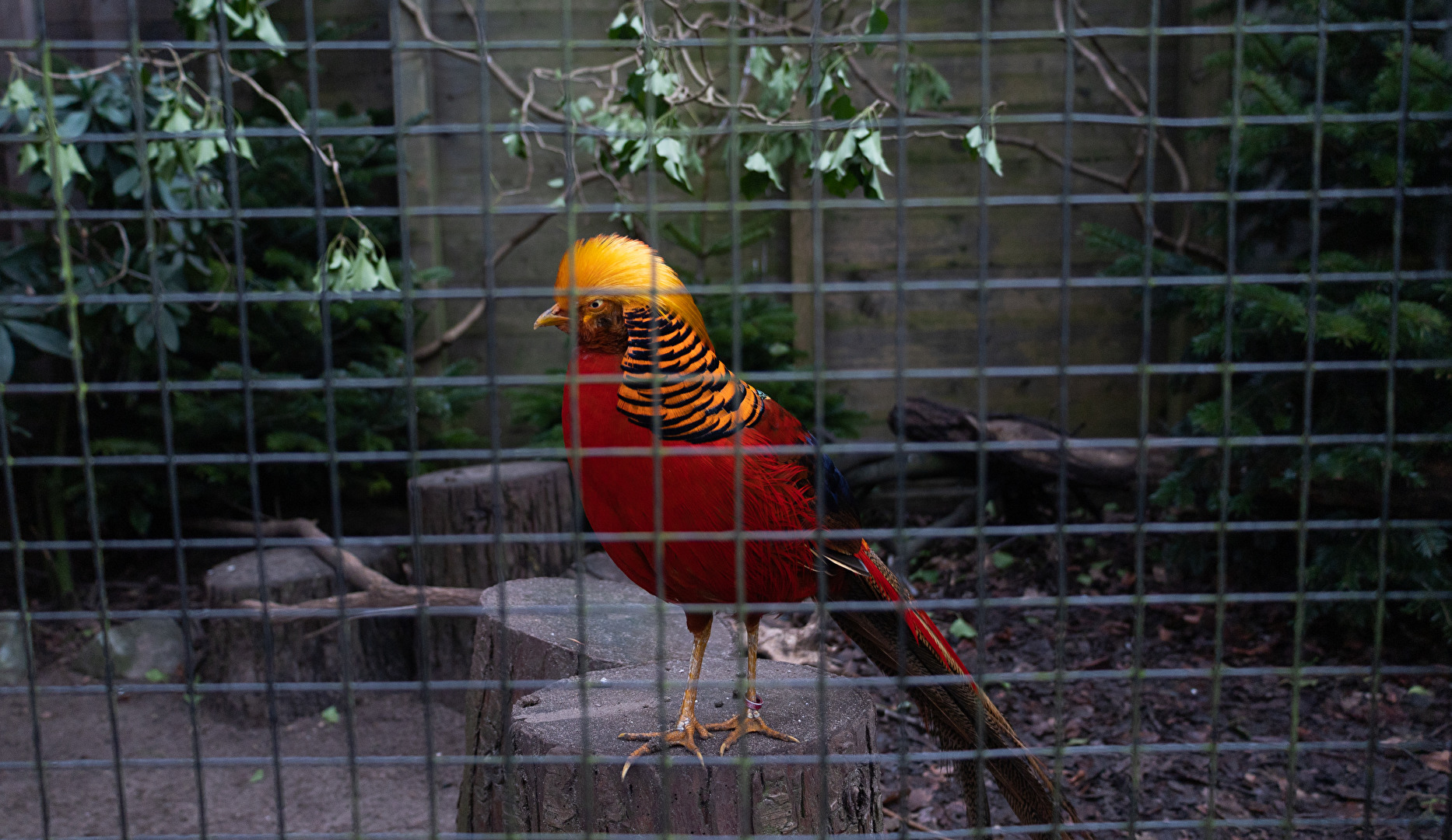 Fotowettbewerb-01-22