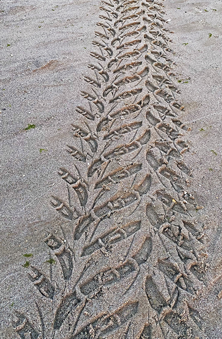 Spuren im Sand 2