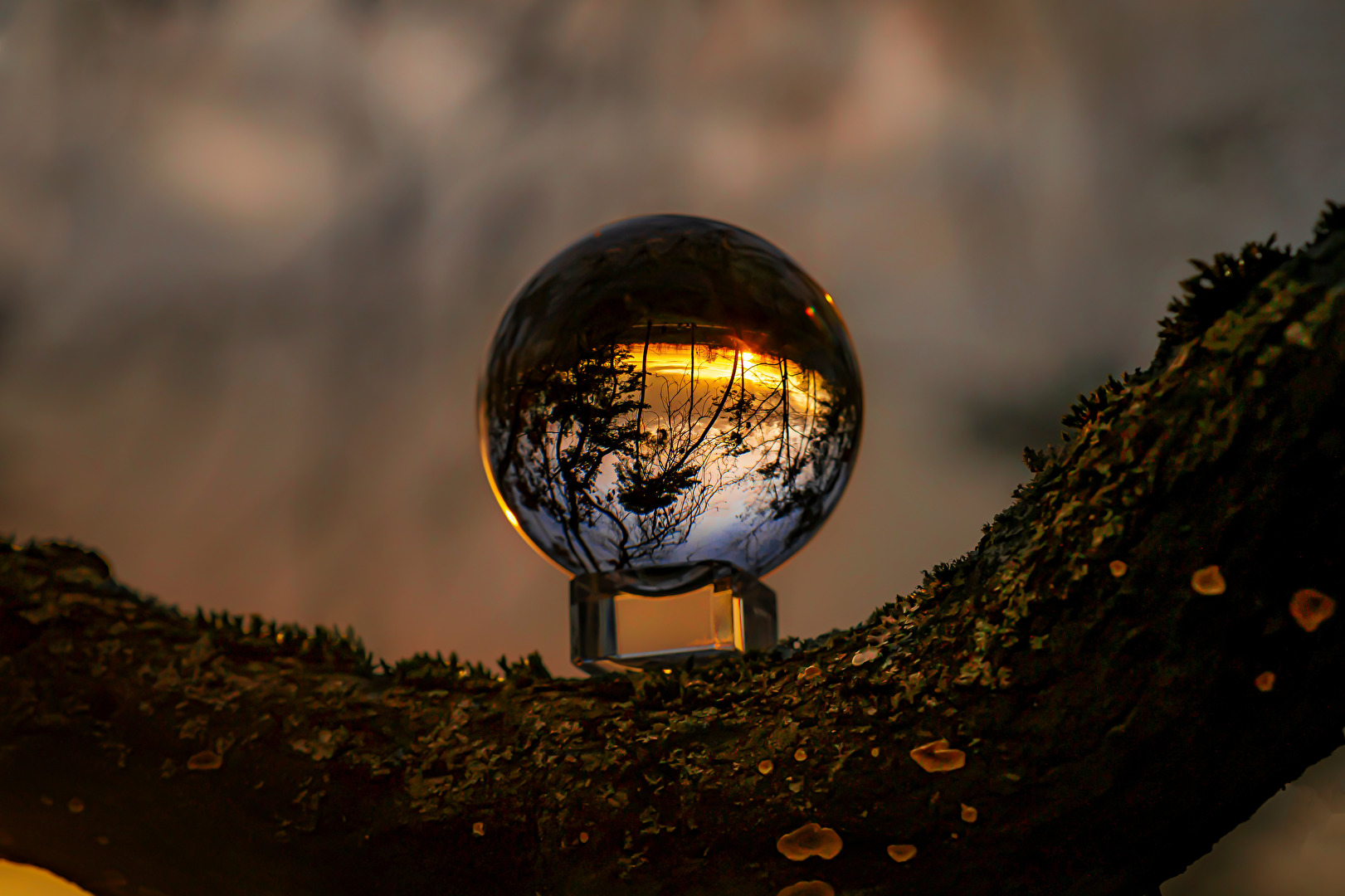 Its beginning to look a lot like summer