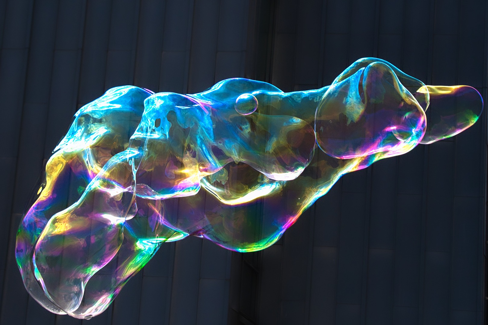 der  Seifenblasen-Beagle