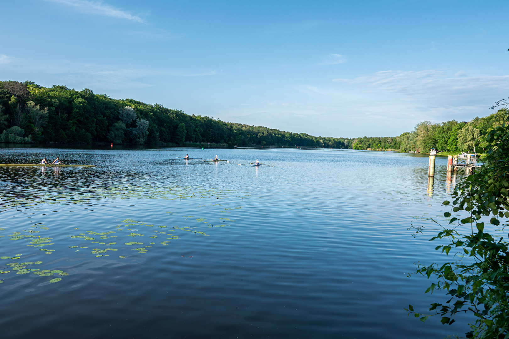 Griebnitzsee 2