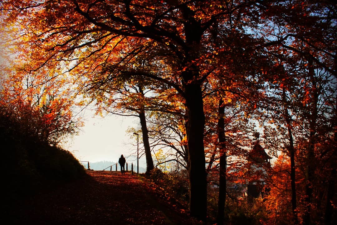 Herbstspaziergang