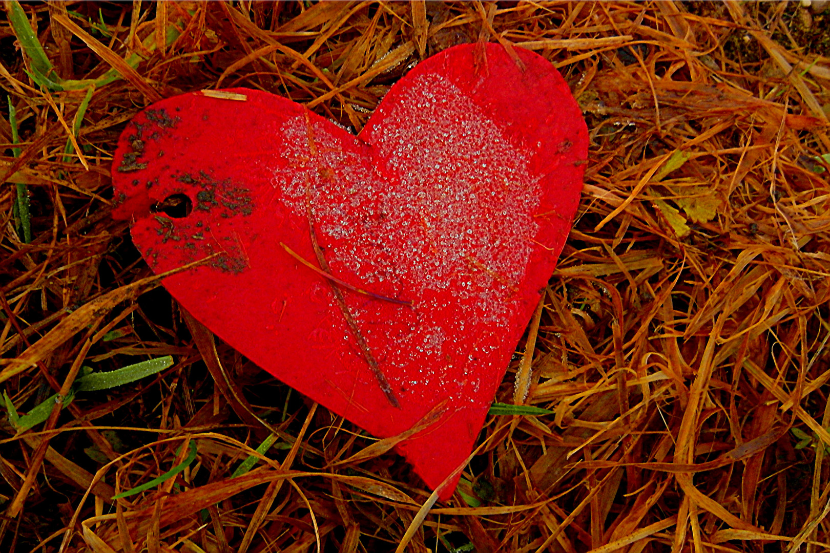 crazy little thing called LOVE