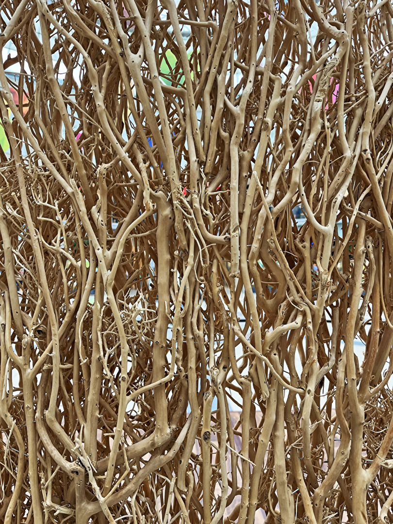 der etwas andere Sichtschutz...