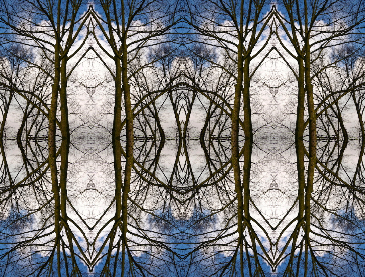 kreativität | °mit zwei bäumen fing's an.