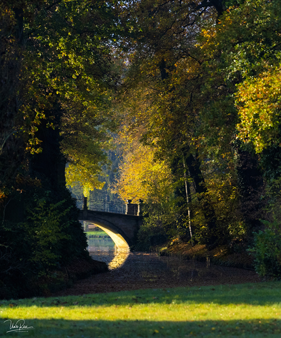 Blick auf die Wolfsbrücke im Wörlitzer Park