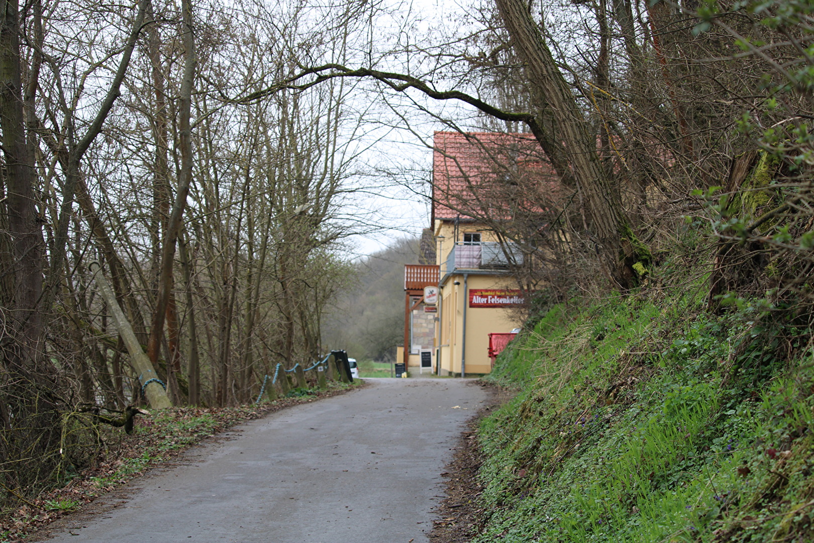 Straße zum Gasthof "Alter Felsenkeller"an der Saale