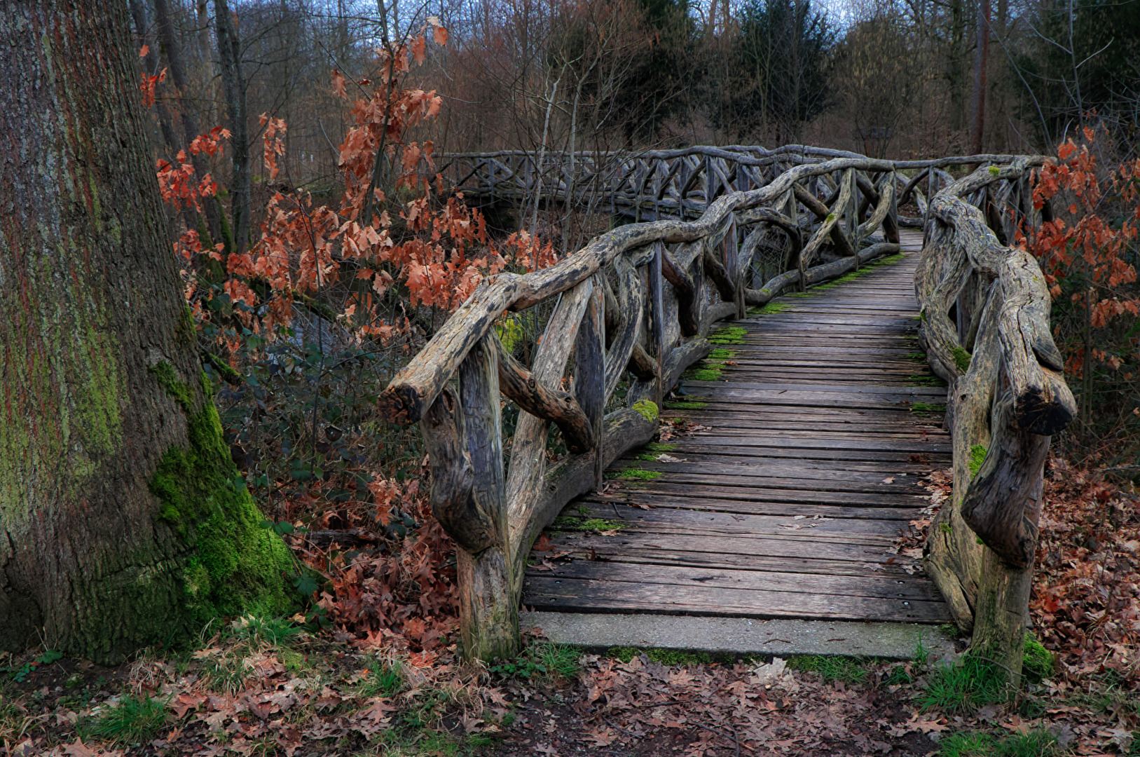 alte Holzbrücke im Wald