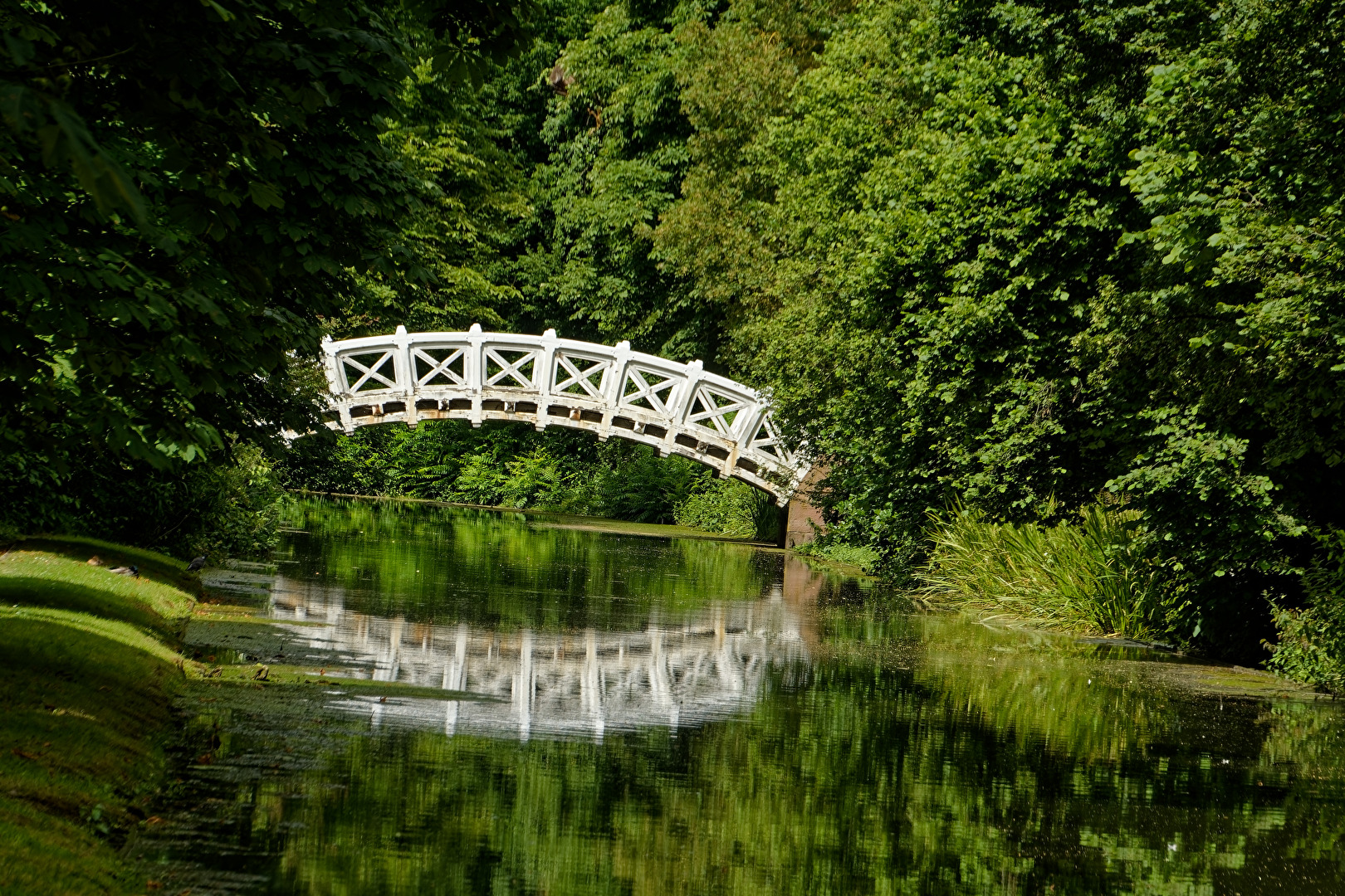 Brücke
