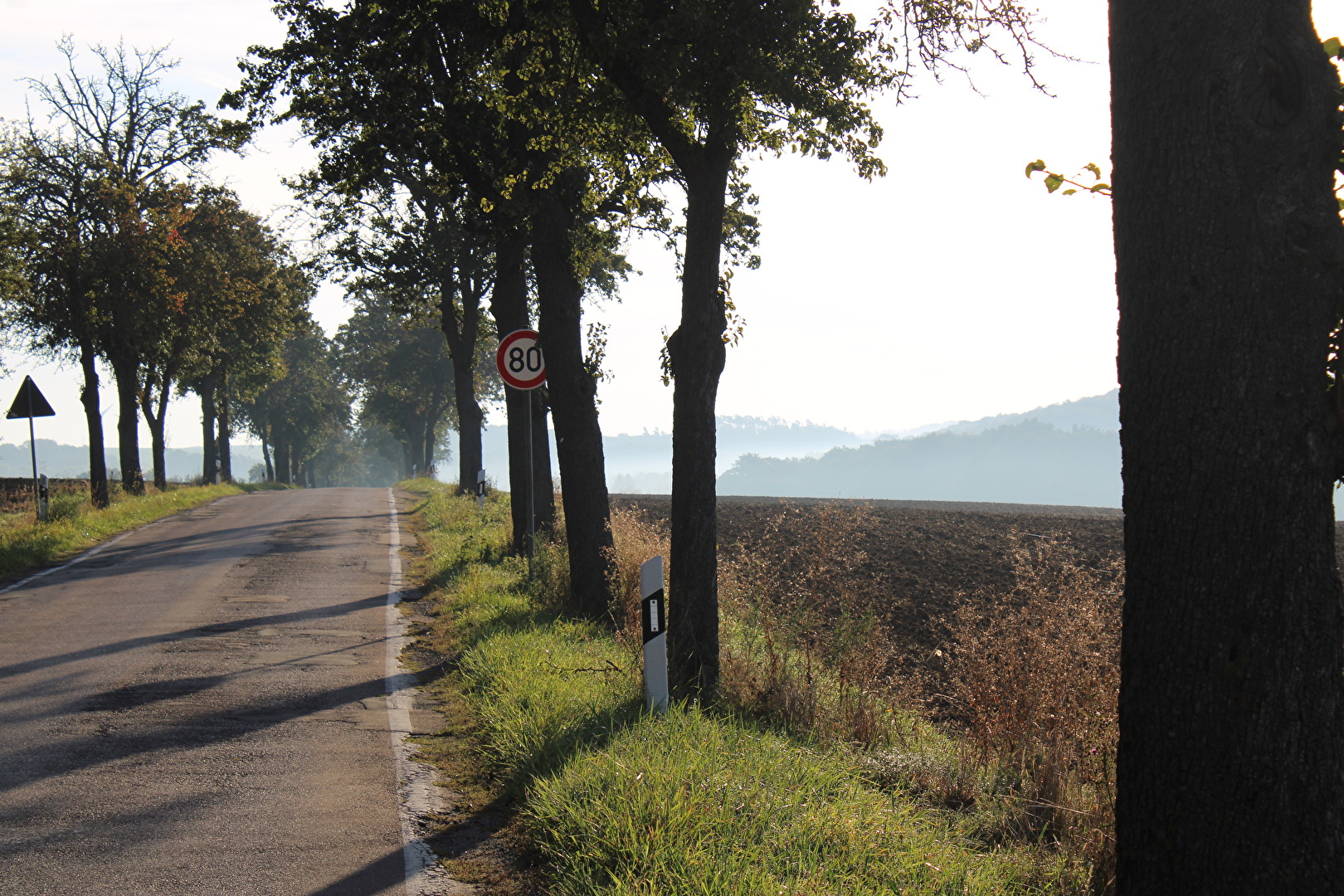 Eine Landstraße am frühen Morgen im September.