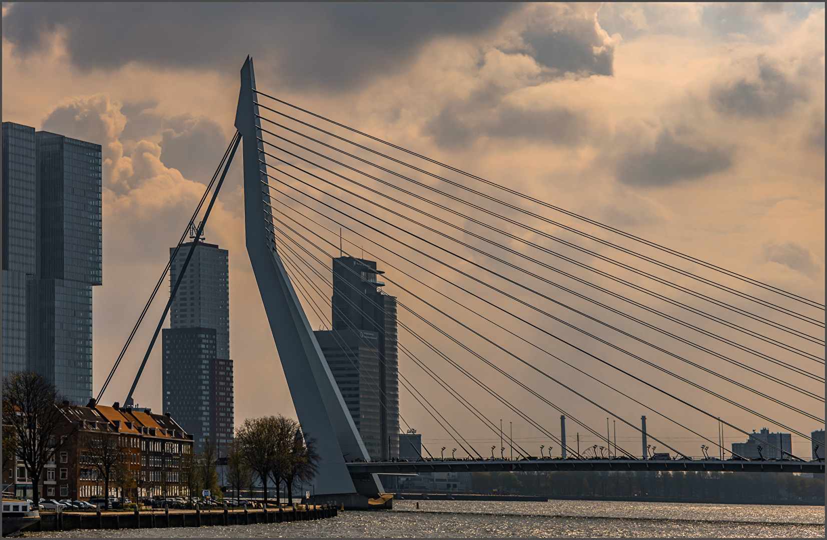 Erasmusbrücke Rotterdam