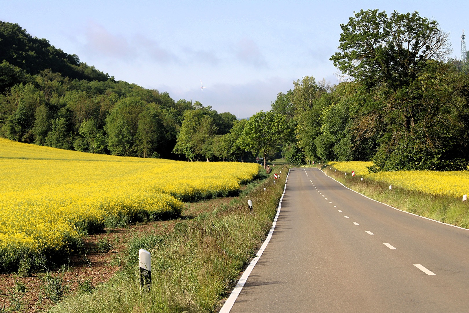 Rechts und links der Straße