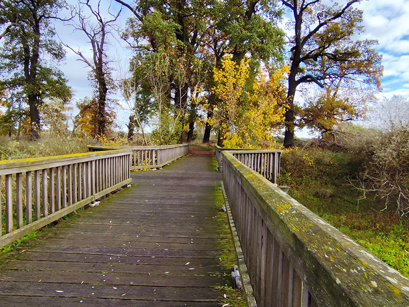 das kleine Holzbrückerl