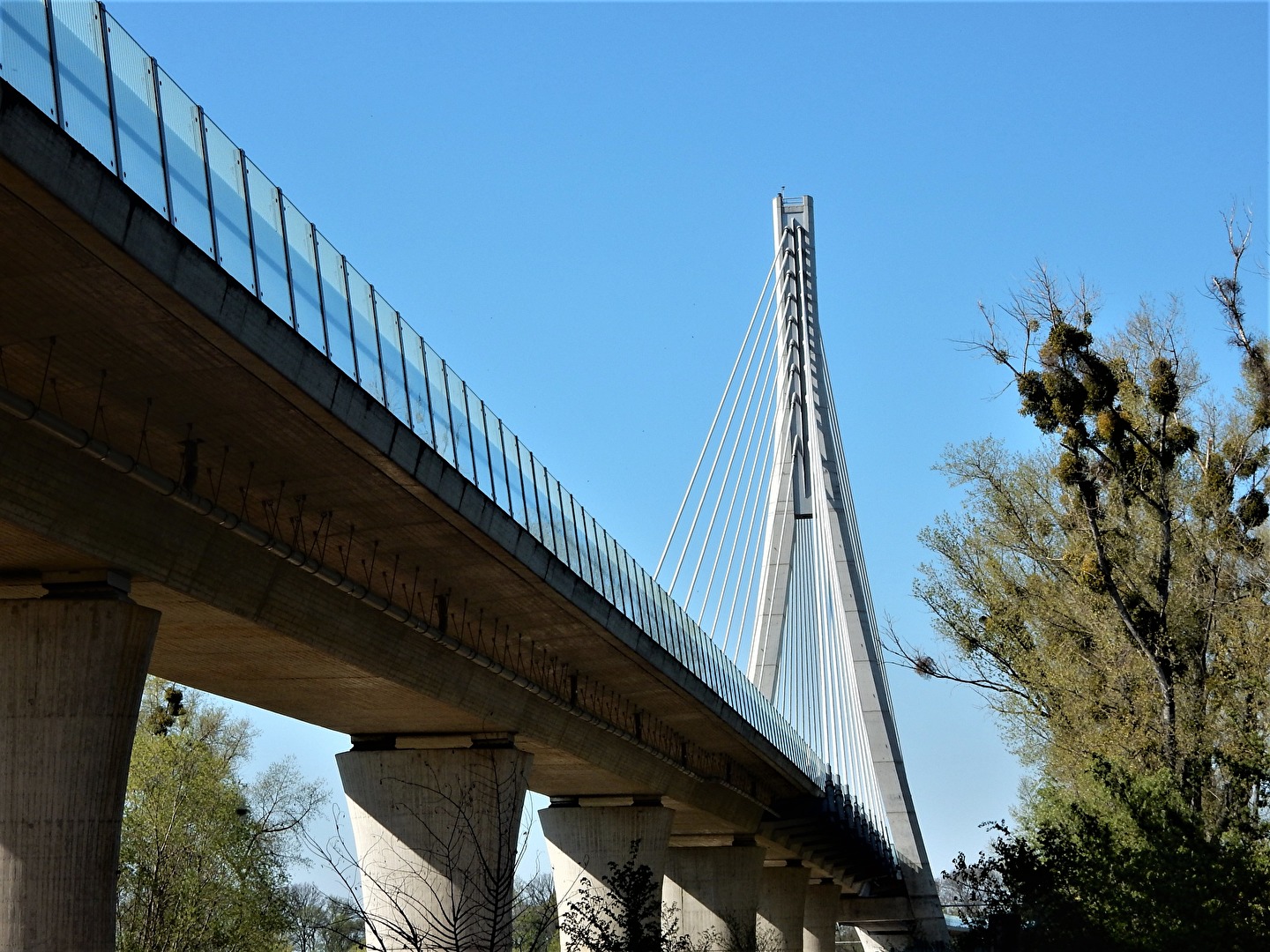 die Neue in Schönebeck