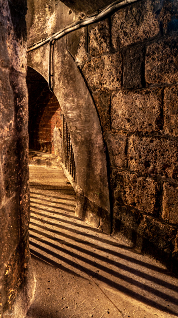 Im Wiener Untergrund