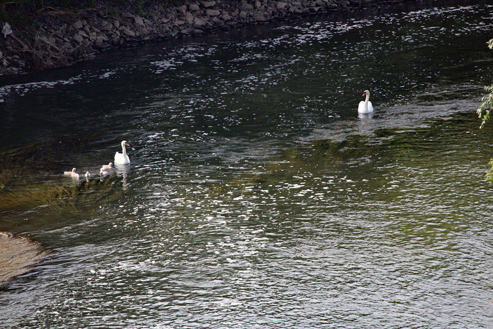 Schleuse in Wendelstein (2)