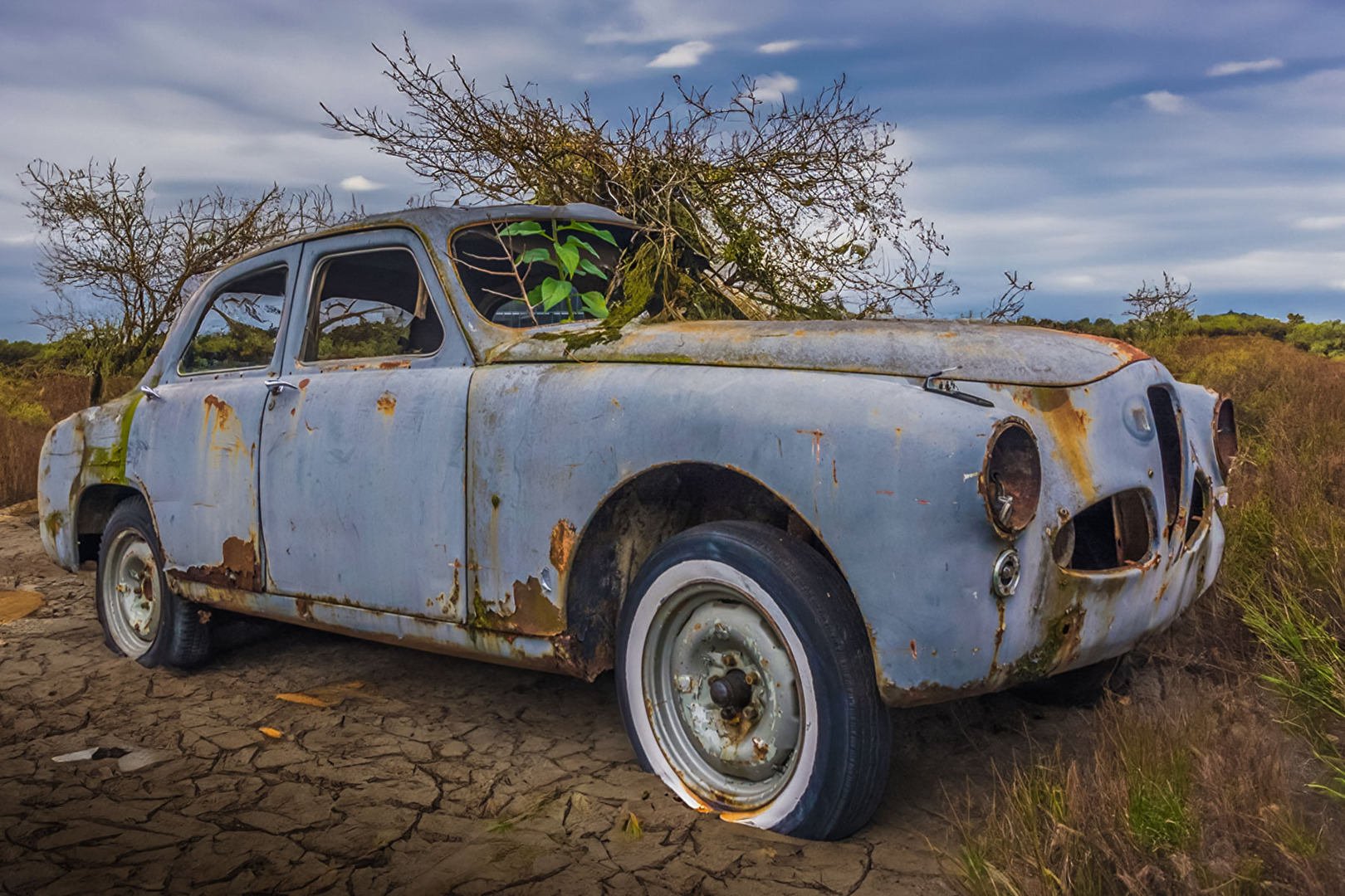 Alfo Romeo - in der Steppe vergessen