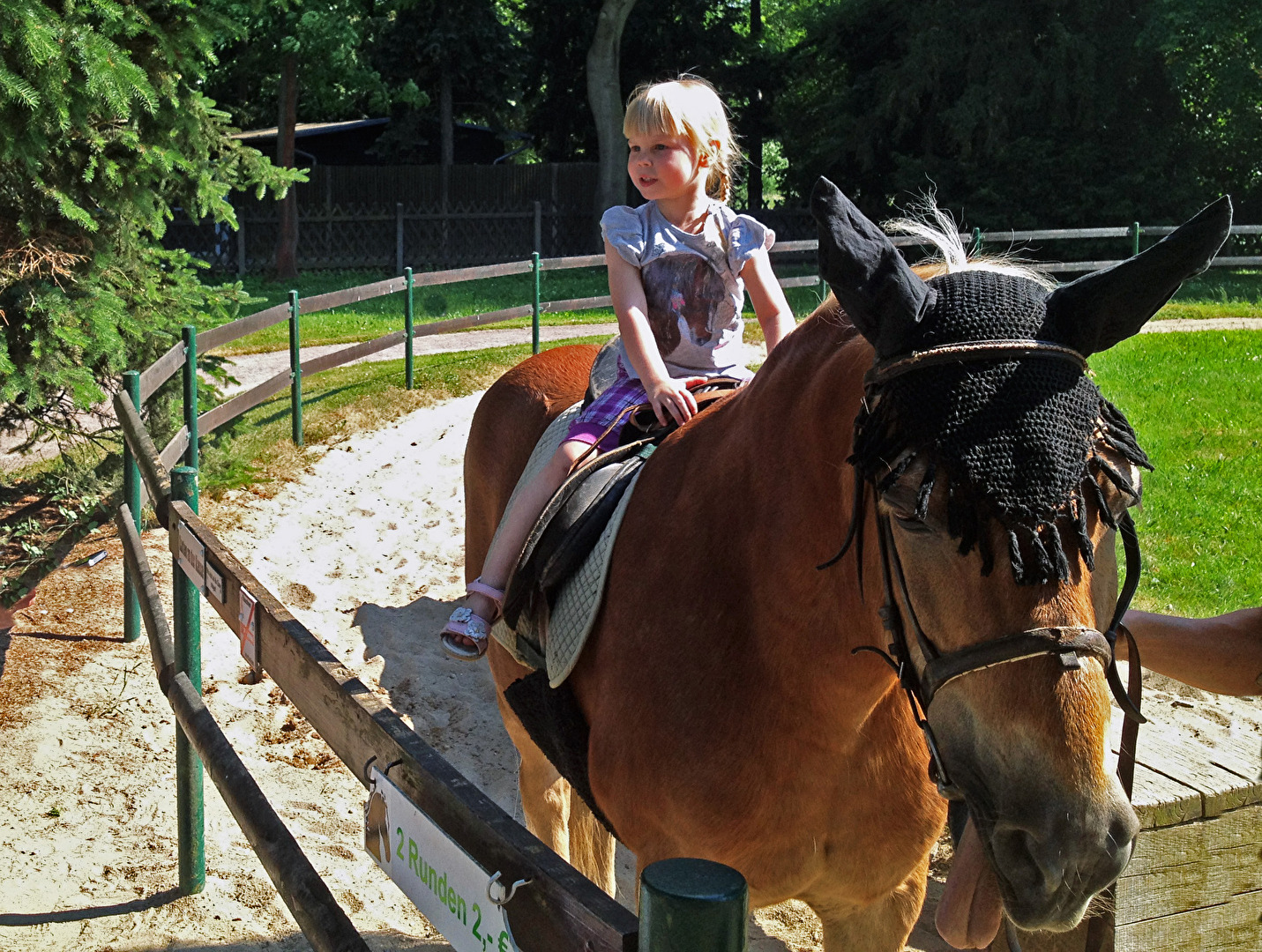 Alles Glück dieser Erde, liegt auf dem Rücken der Pferde