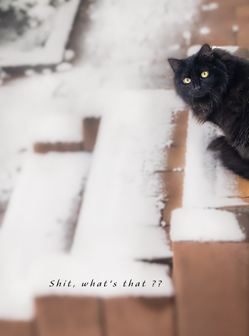 Unerwarteter Schnee !!