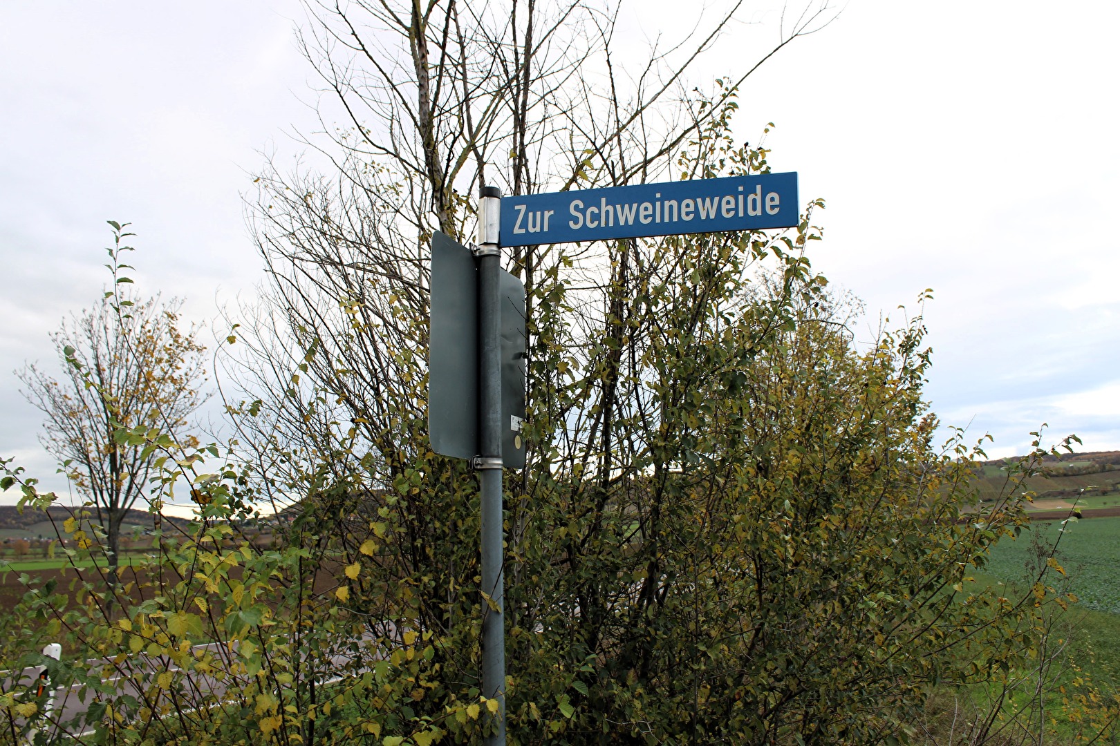 Straßenschild an der L207