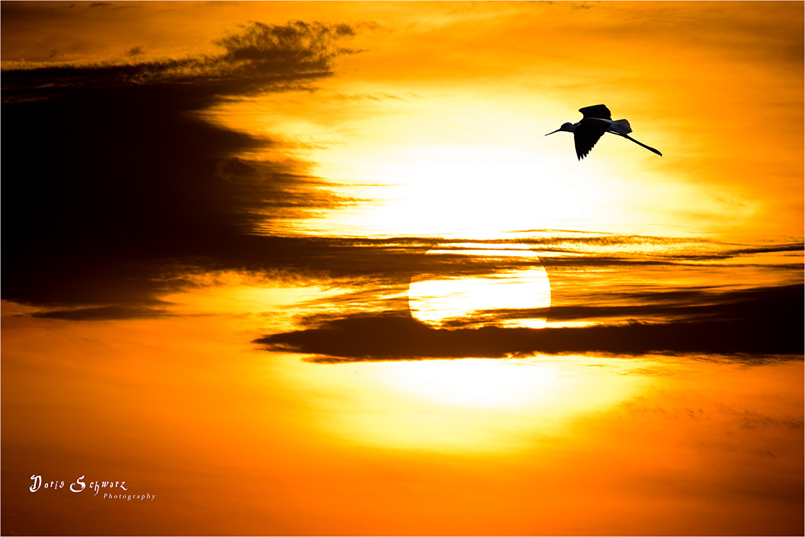 Der Sonne entgegen